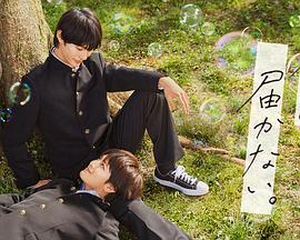 网站优化高端定制方案